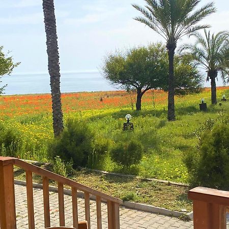Paradise Karpaz Hotel & Restaurant Rizokarpaso Exterior photo